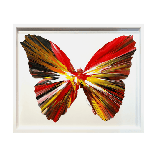 SPIN PAINTING (BUTTERFLY)