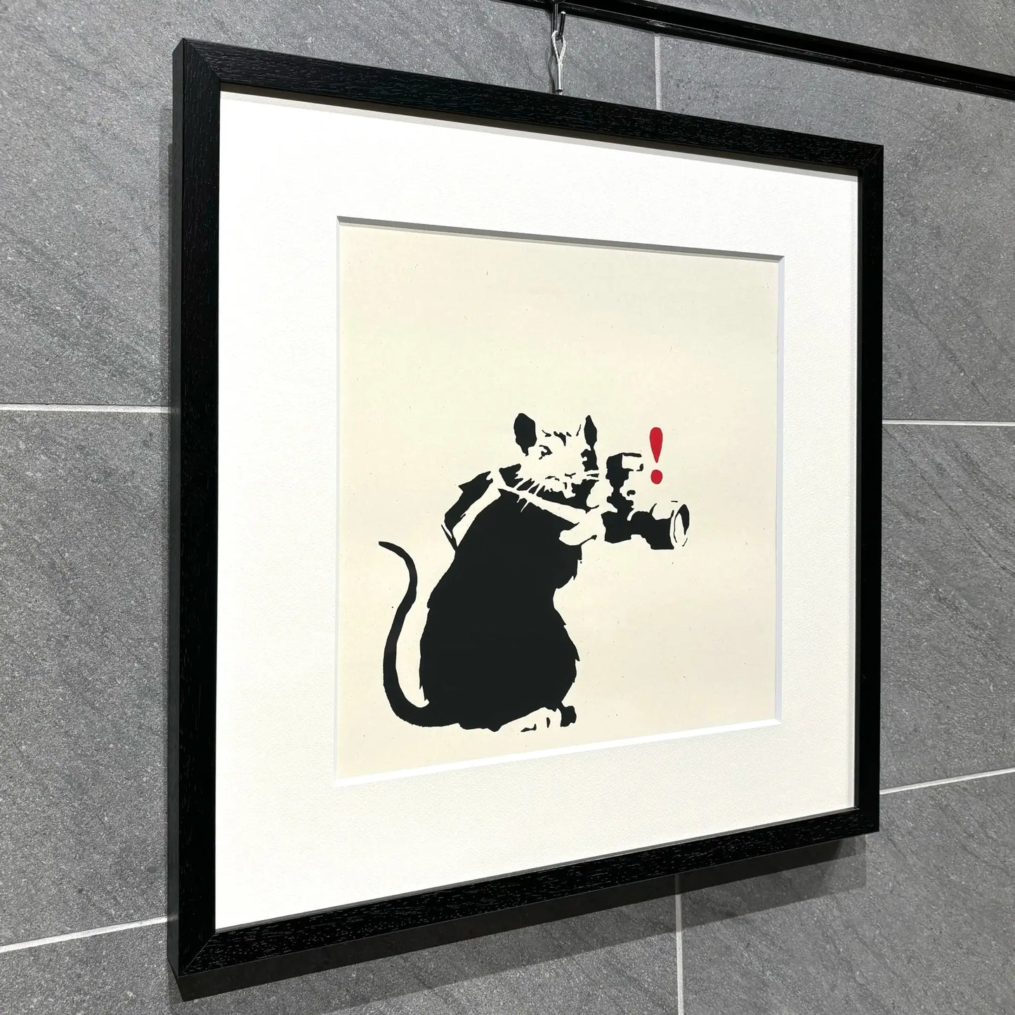 Paparazzi Rat/WCP Reproduction