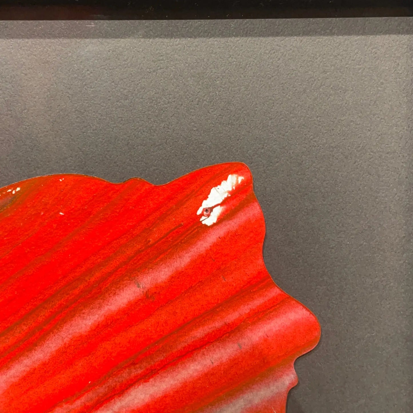 SPIN PAINTING (BUTTERFLY)