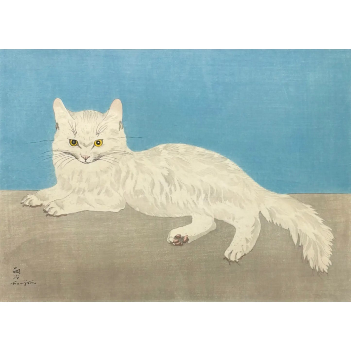 白い猫