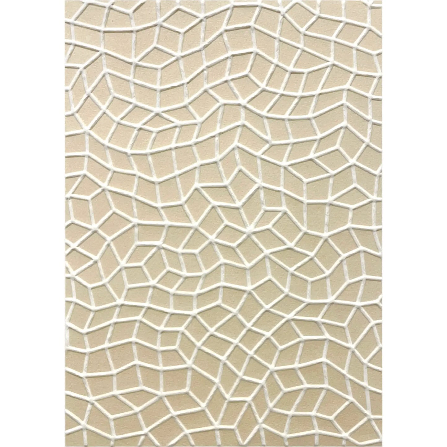 Infinity Nets (HW)