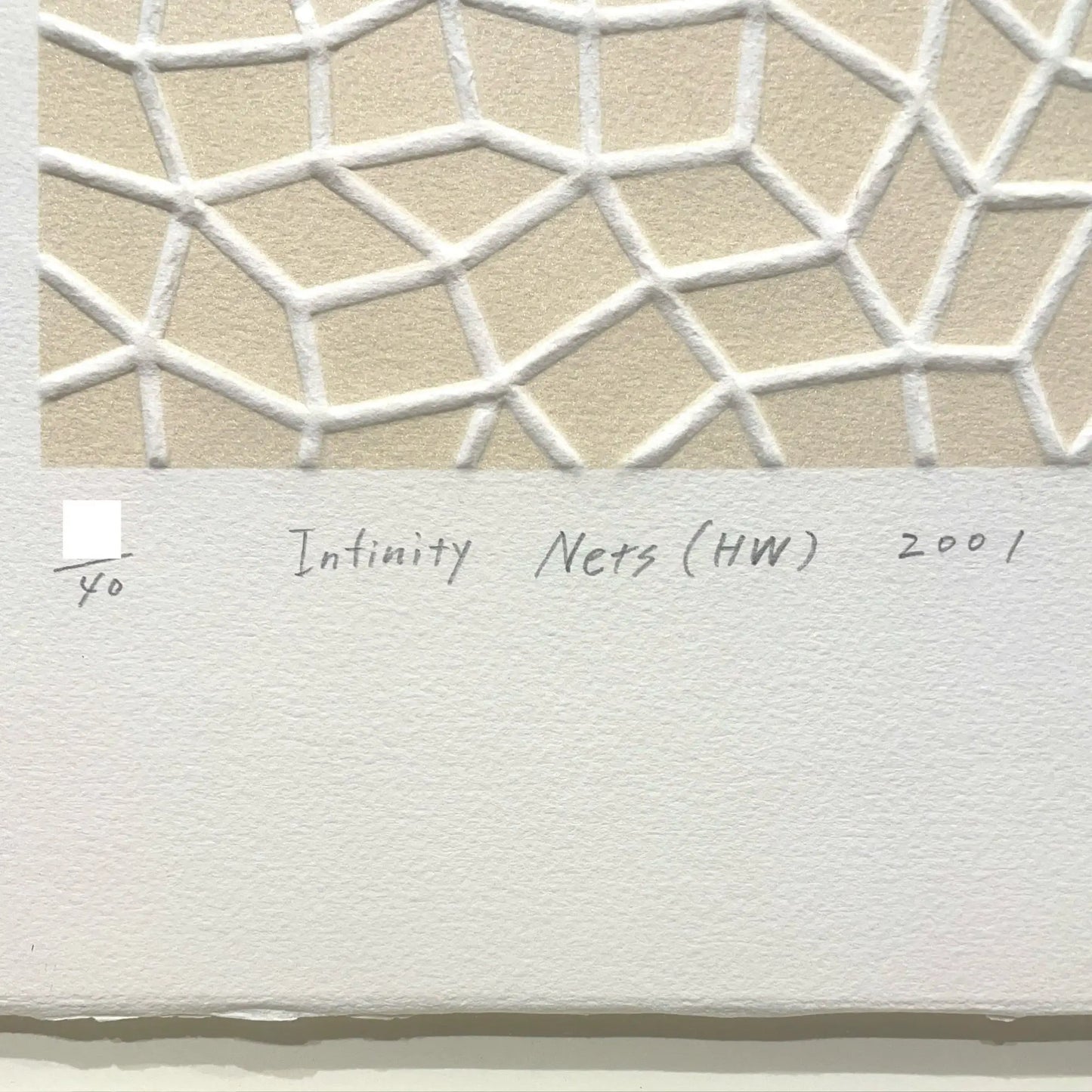 Infinity Nets (HW)
