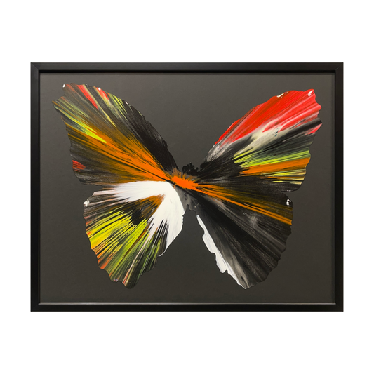 SPIN PAINTING (BUTTERFLY)