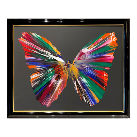 SPIN PAINTING (BUTTERFLY)