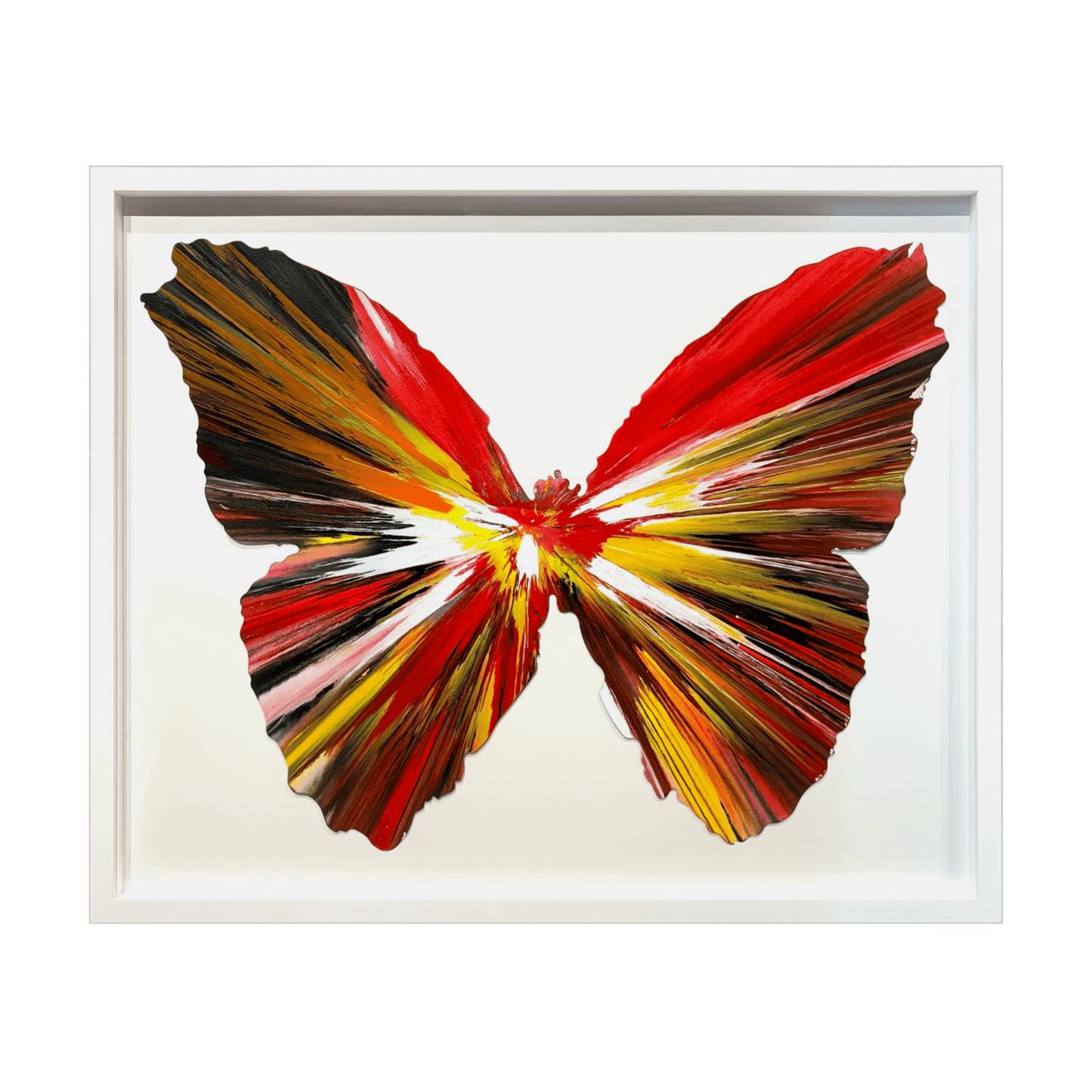 SPIN PAINTING(BUTTERFLY)