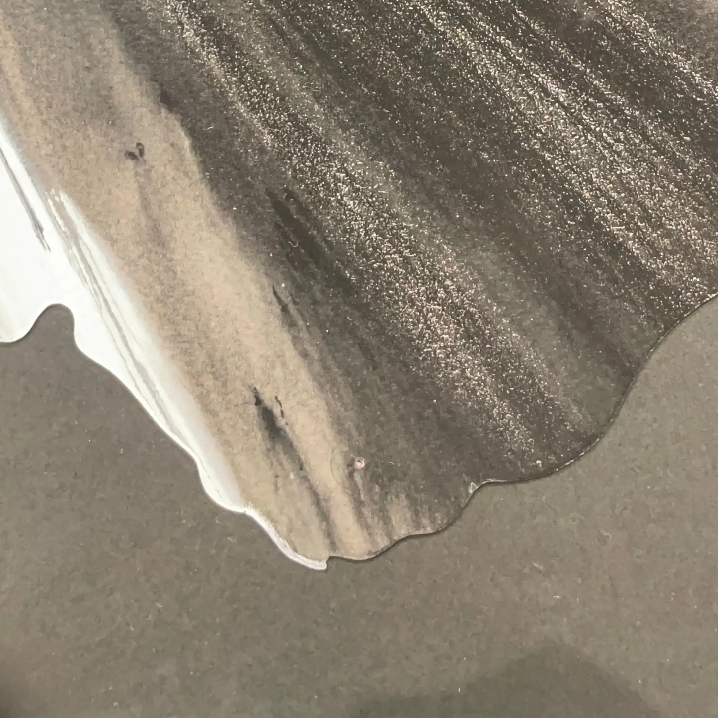 SPIN PAINTING (BUTTERFLY)