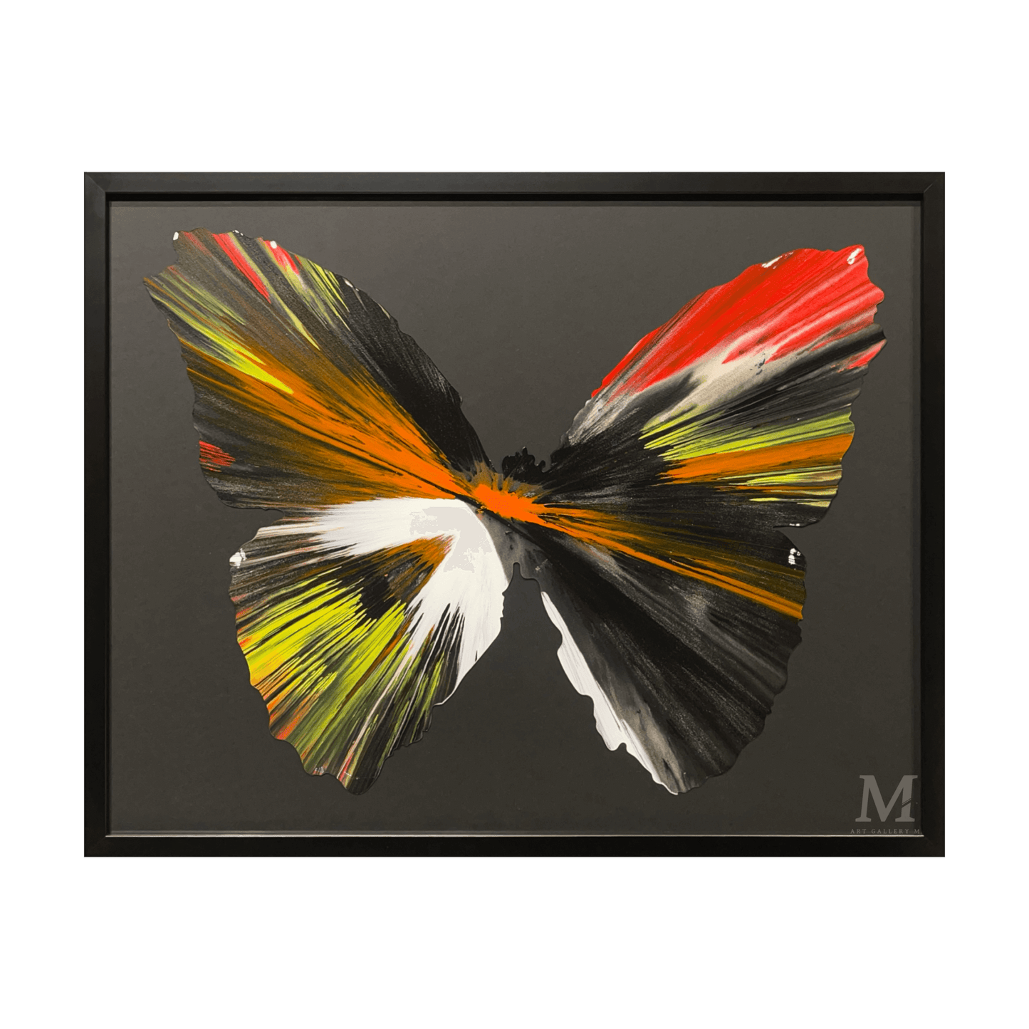 SPIN PAINTING (BUTTERFLY)