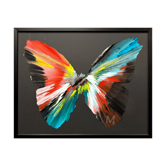Spin Painting (Butterfly)