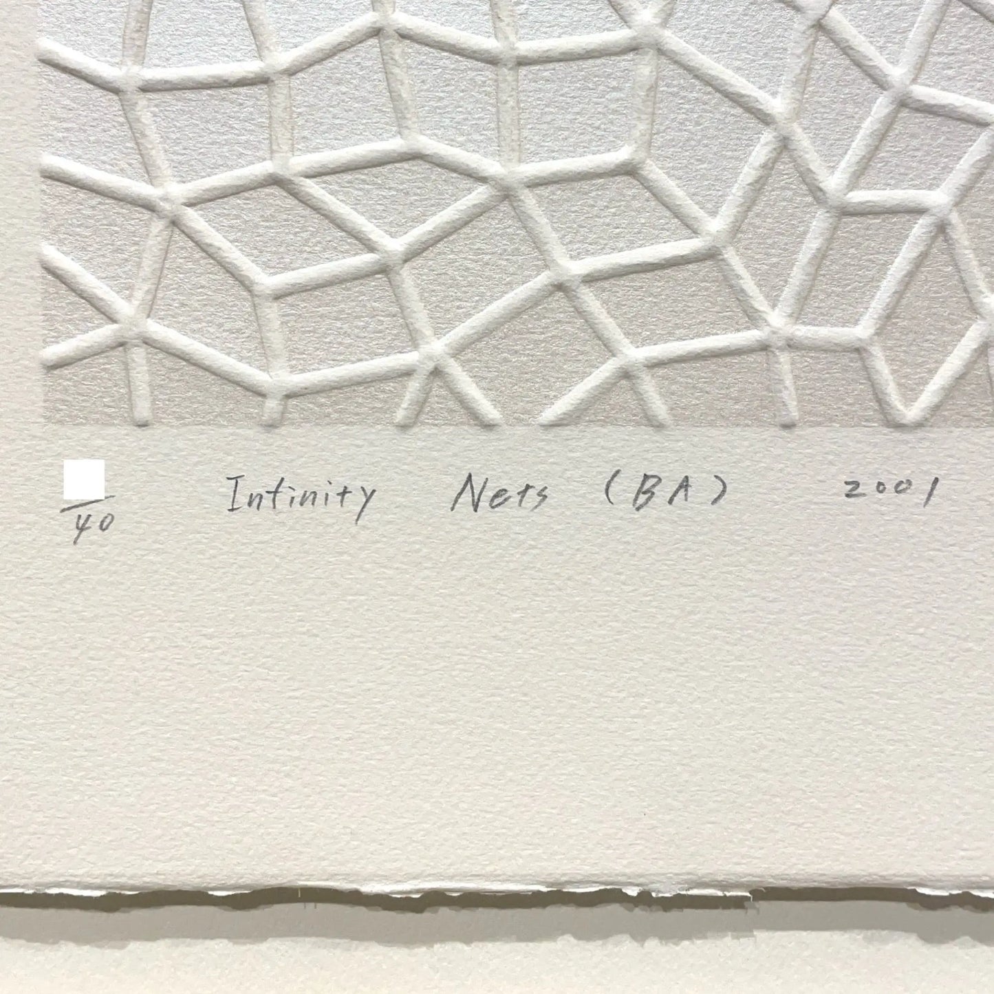 Infinity Nets (BA)